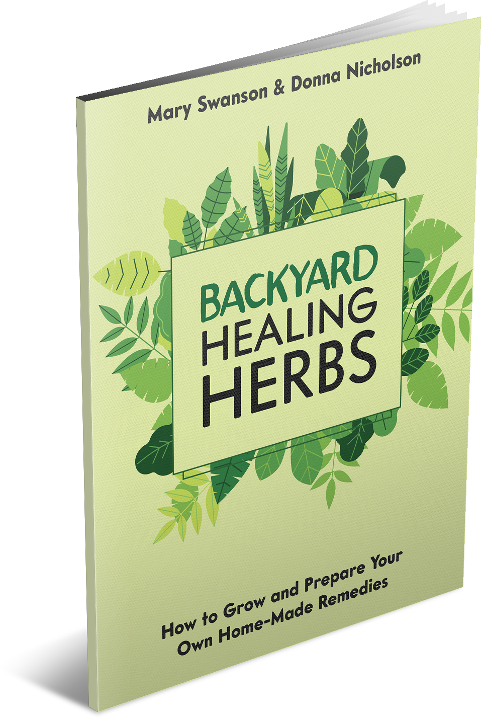 Healing Backyard Book